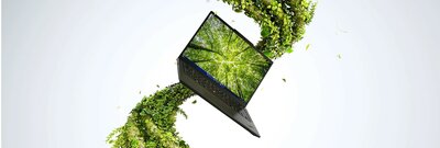 Lad din kreative vision fortsætte uden grænser