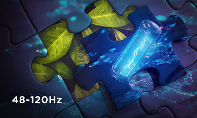 ThinkVision P24Q-40 23,8" QHD-skærm