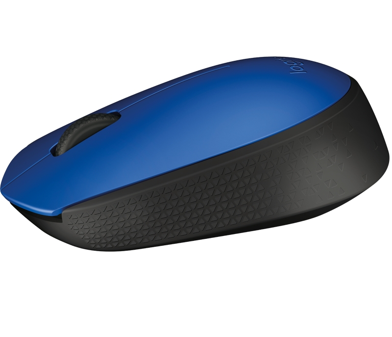 mouse m171