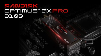 slide {0} of {1}, zoom in, SANDISK Optimus GX PRO 8100 NVMe SSD - without Heatsink - 1TB