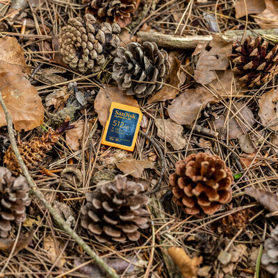 Reliable 4K Video1 and Photo Capture