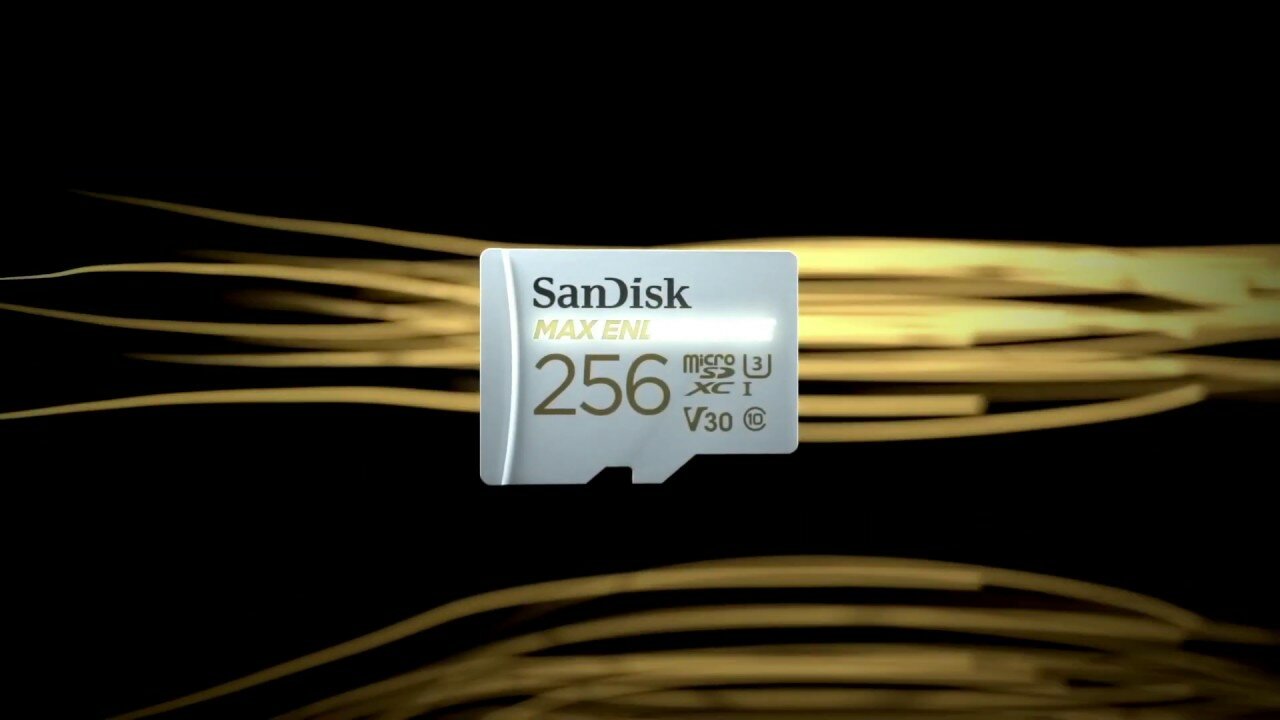 SanDisk High Endurance microSD Card 32GB 