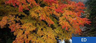 High corner-to-corner resolution