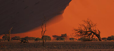 Sony's TOUGH for the toughest places