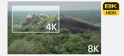 High-resolution 8K22/4K recording for impressive realism