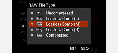 Selectable RAW image size and quality