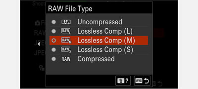 Selectable RAW image sizes and quality