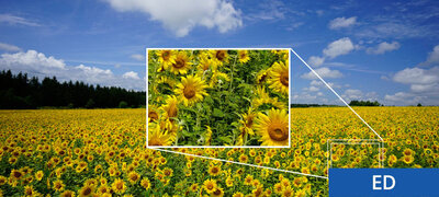 Refined optics deliver stunning images