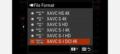 Multiple recording formats for versatile shooting and editing