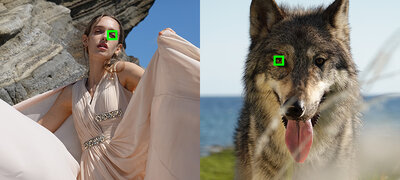 Enhanced Real-time Eye AF for better portraits and pet photos