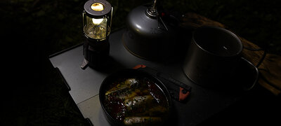 Autofocus that works when it is getting dark