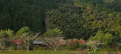 HEIF: High compression with excellent image quality