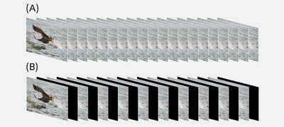 Blackout-free shooting