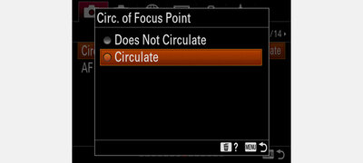 User-Selectable Focus Area Circulation and Customization