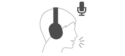Built-in voice control