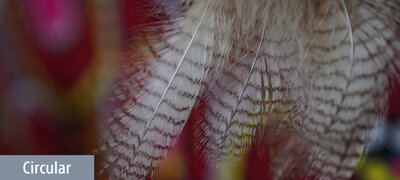 Smooth, beautiful bokeh
