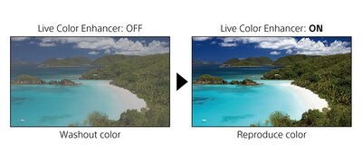 Live Colour Enhancer