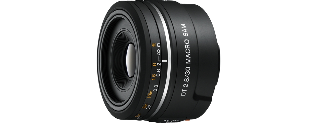 SAL30M28 DT 30mm F2.8 SAM Macro Lens - Walmart.com