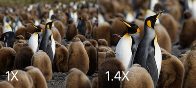 Extend your range by 1.4x