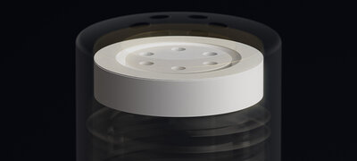 Ceramic back plate for high sound quality