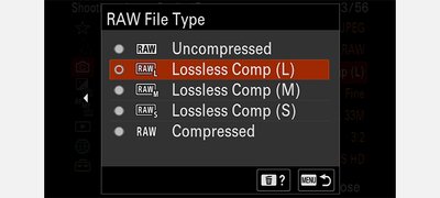 Selectable RAW image sizes and quality