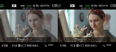 See an accurate preview of the final image with user LUTs
