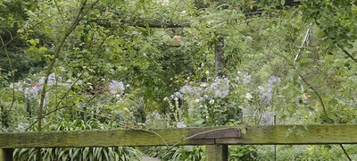 Recording formats for image quality and post-production