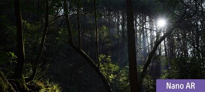 Minimal flare and ghosting