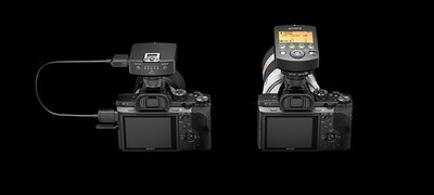 Remotely trigger multiple camera shutters