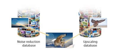 Dual database processing