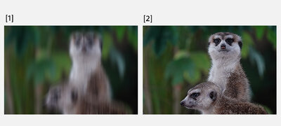 Optical SteadyShot™