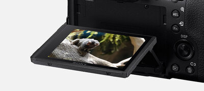 Convenient tiltable LCD and top display panel