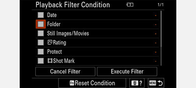 Playback Filter Condition