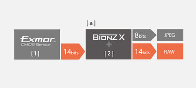 14-bit RAW output with rich tonal gradation