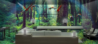 360 Spatial Sound that adapts to your environment with optional rear speakers from Sony1