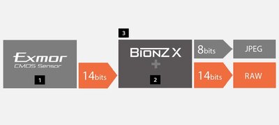 14-bit RAW output with rich tonal gradation