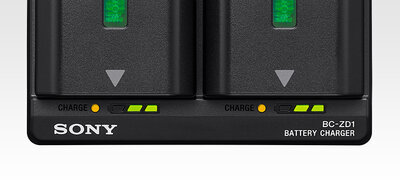 Charge status indicators
