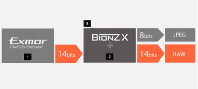 14-bit RAW output for rich tonal gradation