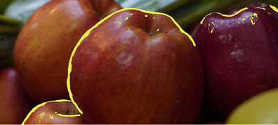 Easy manual focus with clearly visible peaking