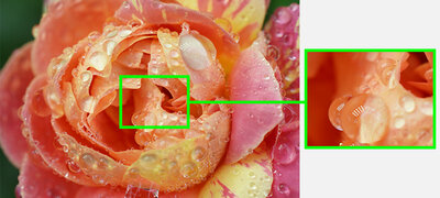 Focus Magnifier for finer focus adjustment in both MF/AF modes