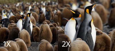 Double your focal length