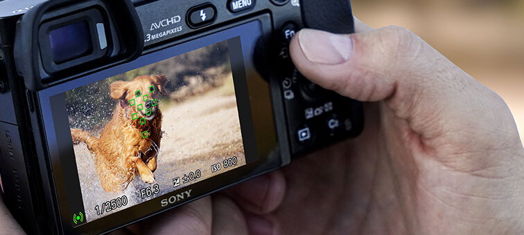 SONY　α6000 Amazon.com : Sony Alpha a6000 Mirrorless Digital Camera 24.3