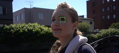 Real-time Eye AF with excellent tracking performance