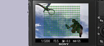 Dense, widespread 315-AF-point coverage