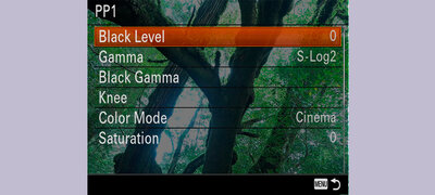 Diverse movie functions supporting pro-style usage