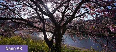 Nano AR Coating II maximises clarity