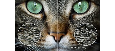 Everything upscaled to 4K quality