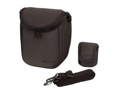 Compact Carrying Case