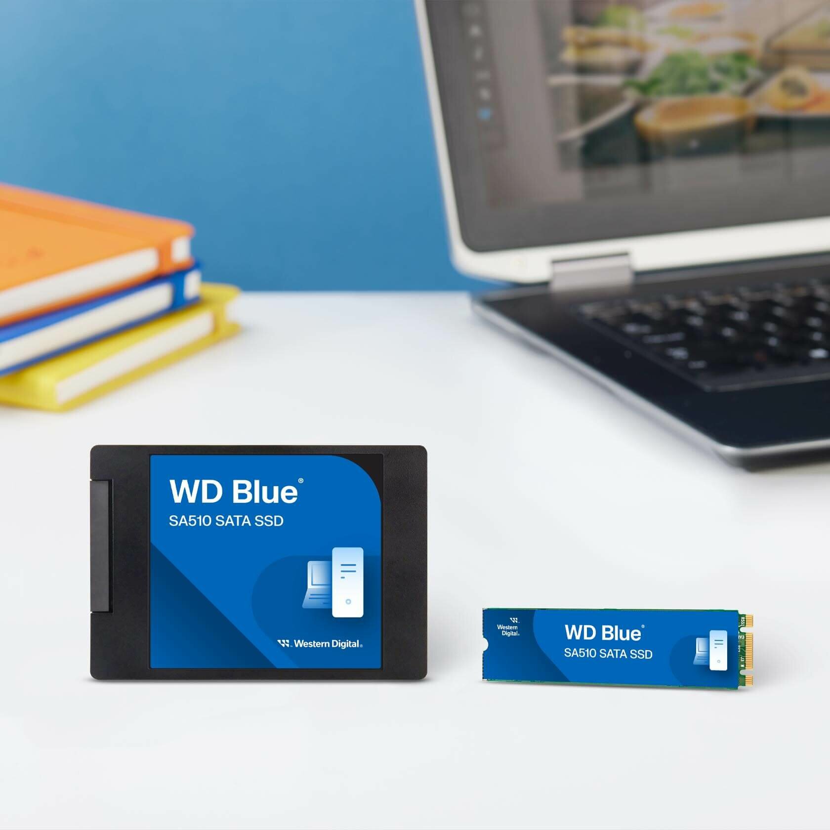 WD Blue SA510 WDS500G3B0B 500 WDS500G3B0B-00AXS0 | PC-Canada