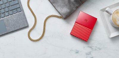 Auto Backup